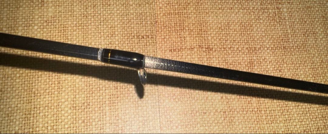 ダイワ　シーバス　ロッド