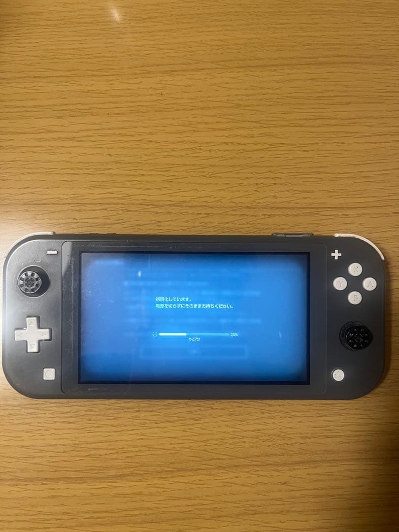 Nintendo Switch Lite グレー 本体　ジャンク　初期化済