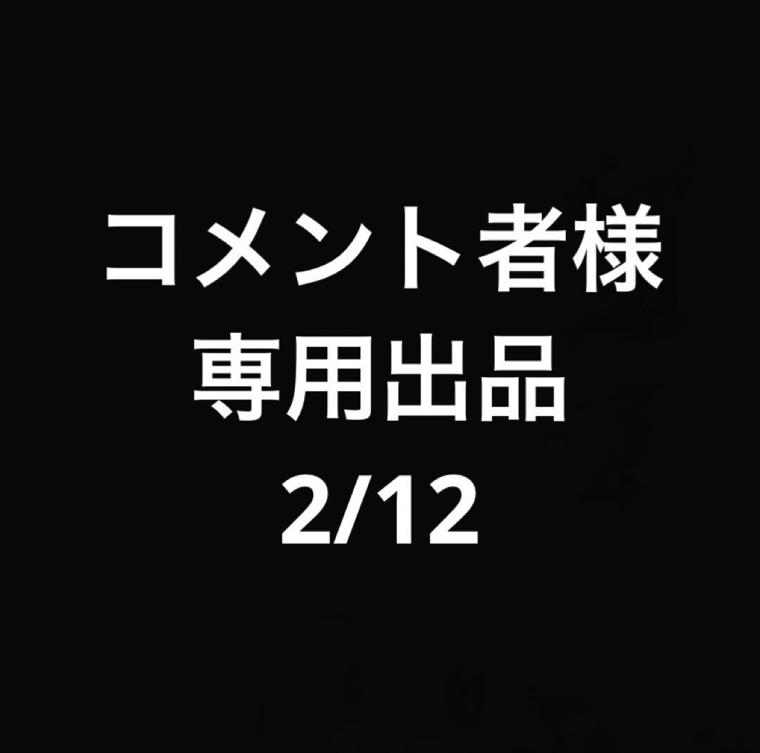 コメント者2/12 P16