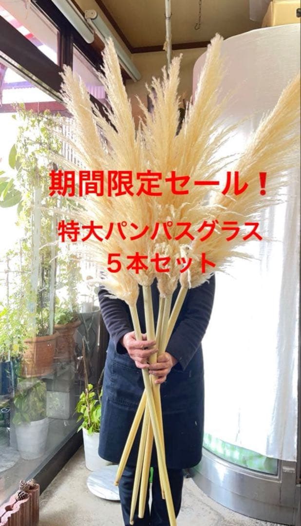 みゆ様 リクエスト 2点 まとめ商品　※梱包の詳細をご購入前にご一読ください。