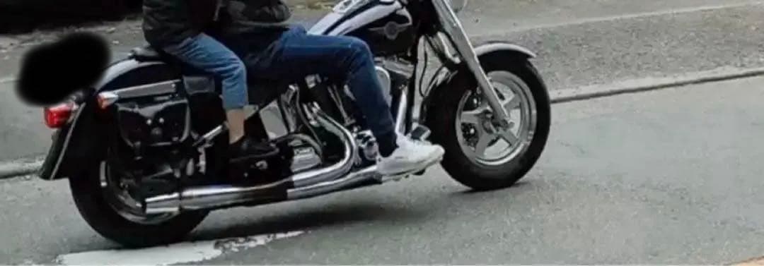 ハーレーFLSTF TC88 フルエキゾースト・マフラー サンダーヘッダー