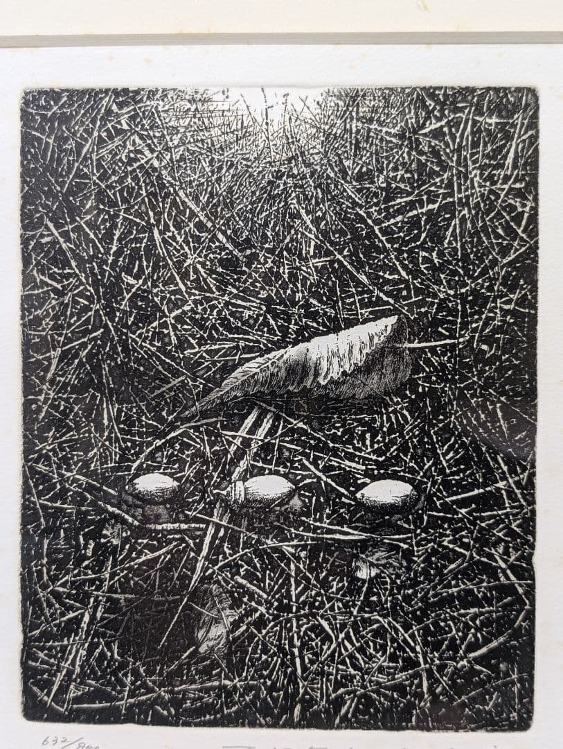 中林忠良 転位 '93 - 地 (種子) エッチング 632/800静物画　版画