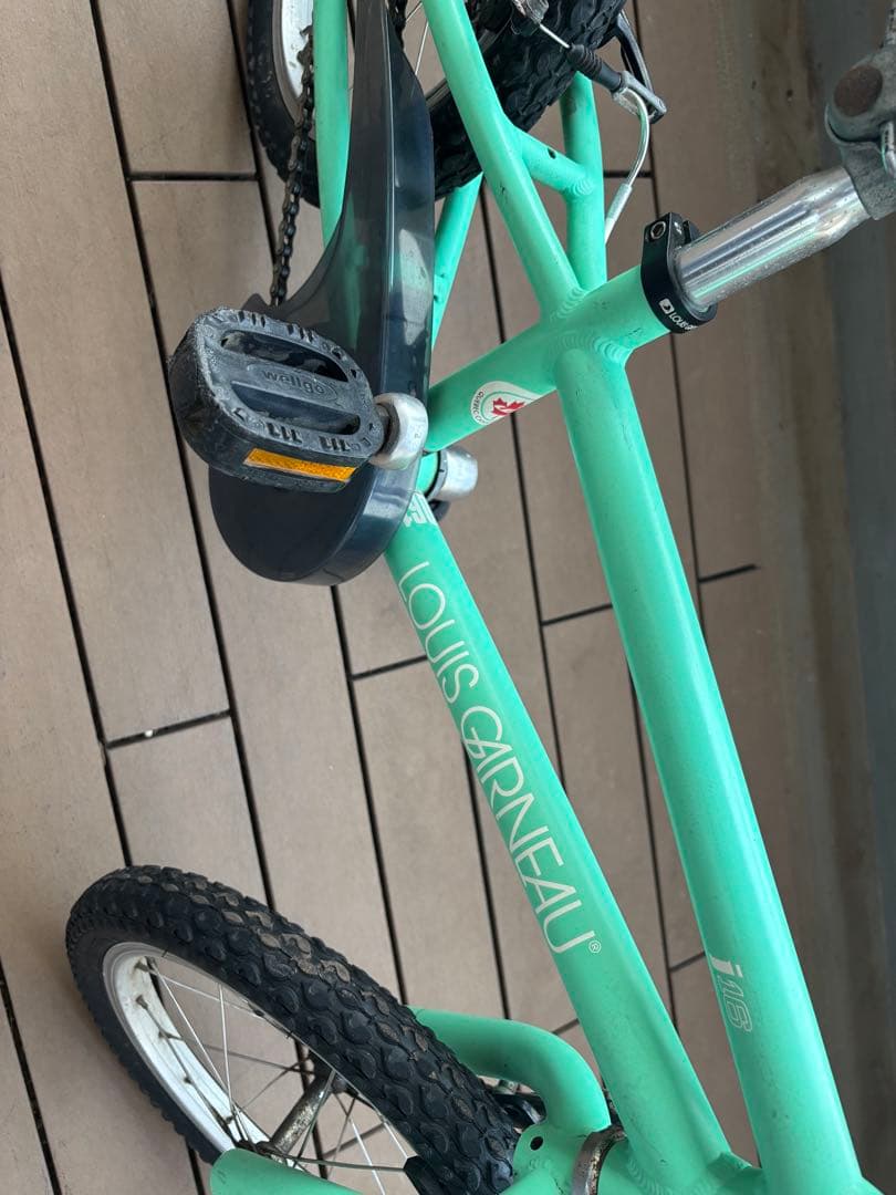 LOUIS GARNEAUルイガノ LGS-J16 16インチ