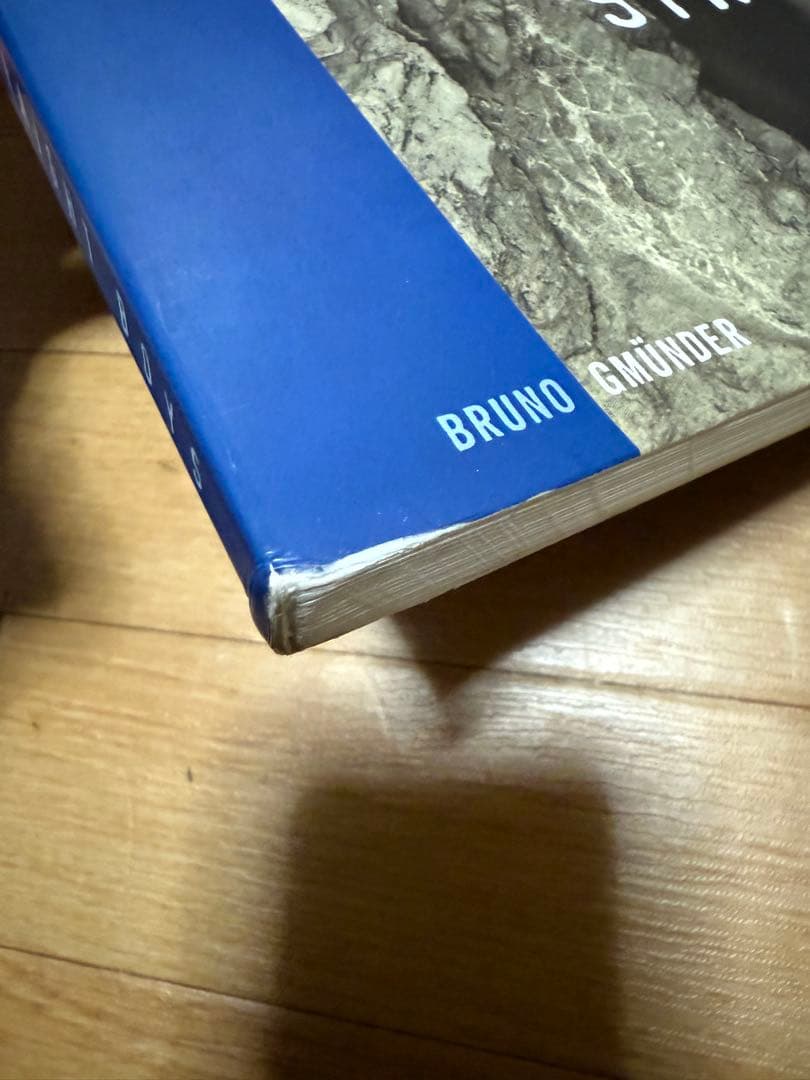 STRAIGHT BOYS 洋書