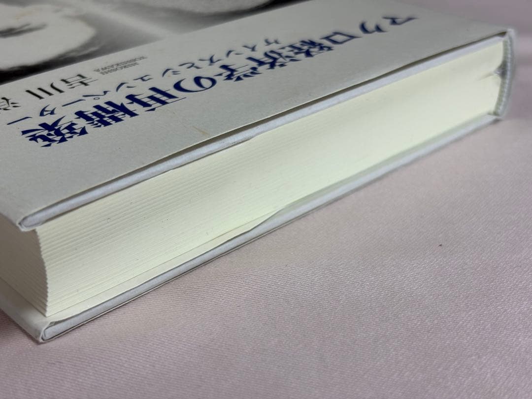 マクロ経済学の再構築　ケインズとシュンペーター 吉川洋／著 岩波書店