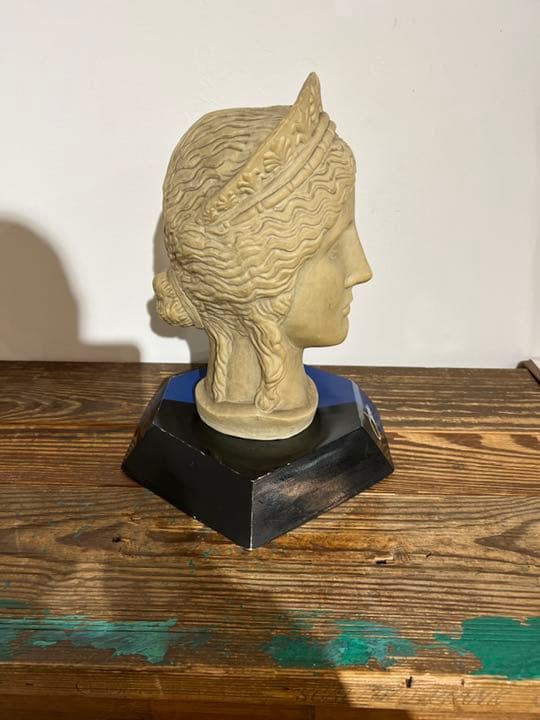 Cazal Sunglasse Display カザール　サングラスディスプレイ