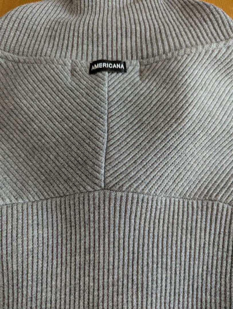 AP STUDIO×アメリカーナ　スタンドジップ　ブルゾン Americana