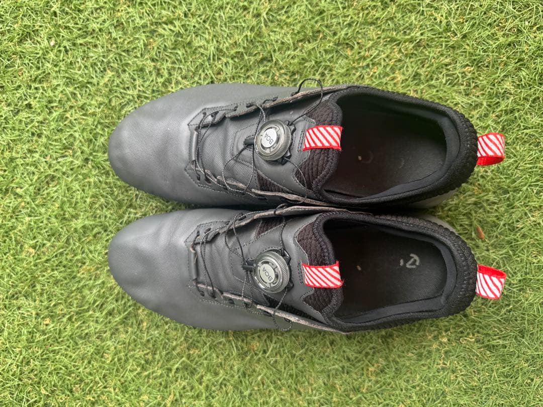 ECCO ゴルフシューズ BIOM C4 BOA