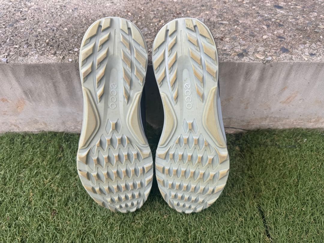 ECCO ゴルフシューズ BIOM C4 BOA