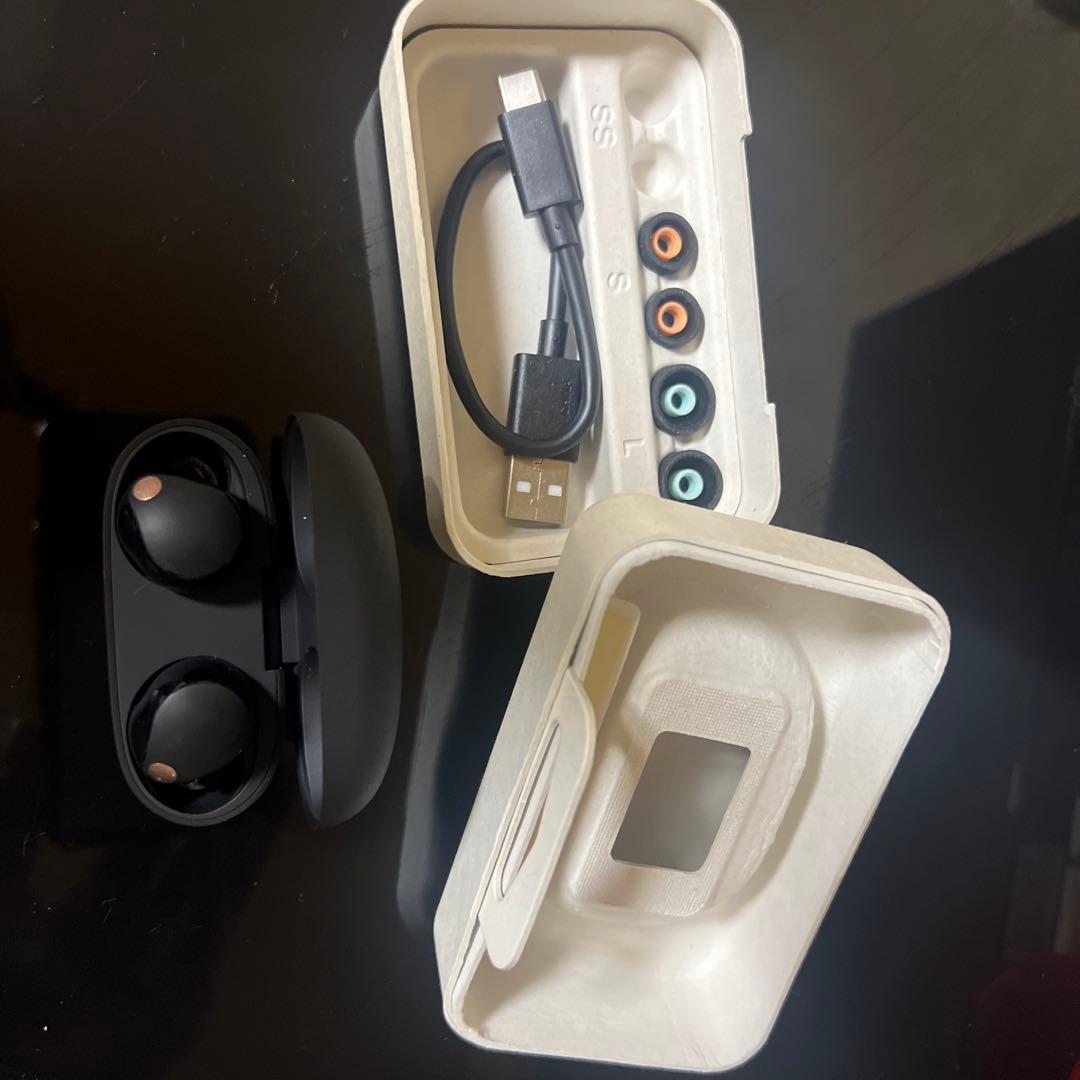 イヤホン SONY 1000x SERIES