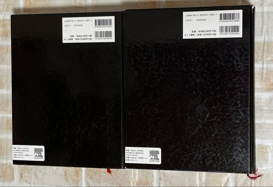 スモールアニマルインターナルメディスン　第4版　上下