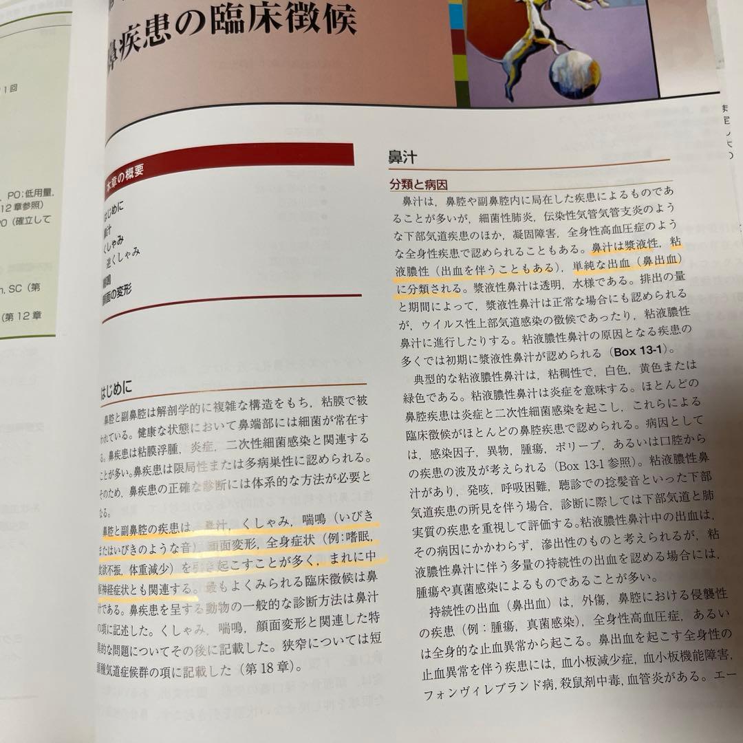 スモールアニマルインターナルメディスン　第4版　上下