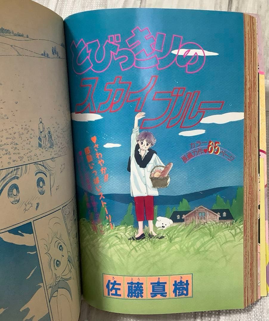 りぼん りぼんびっくり 増刊号 付録 無 吉住渉 小花美穂 水沢めぐみ シール