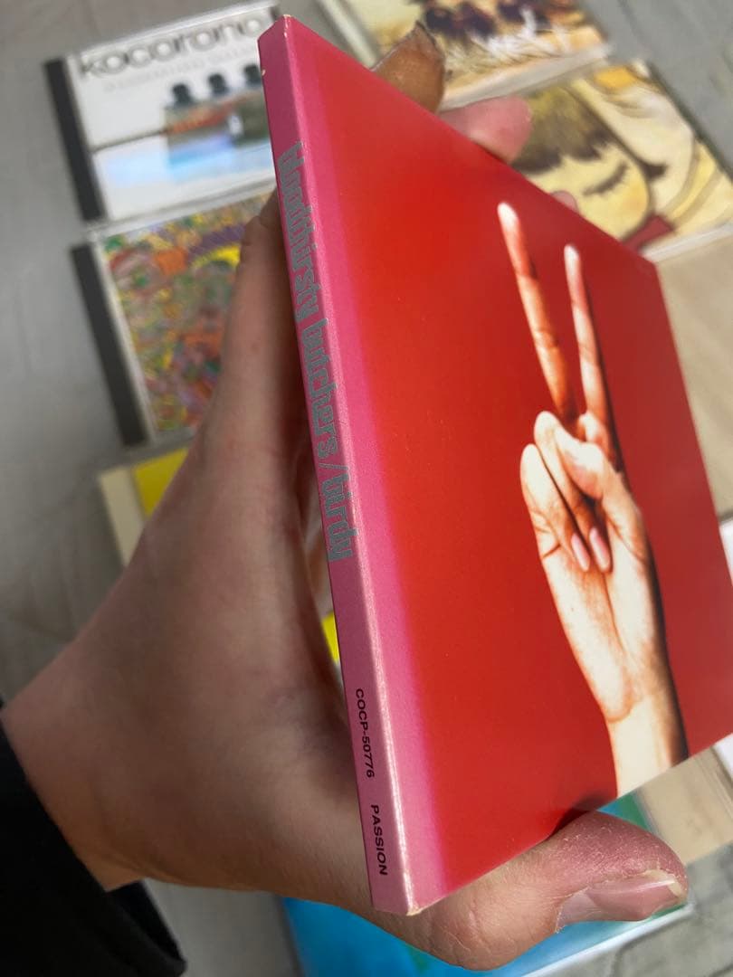 【連休限定値下げ】bloodthirsty butchers CD 8枚セット