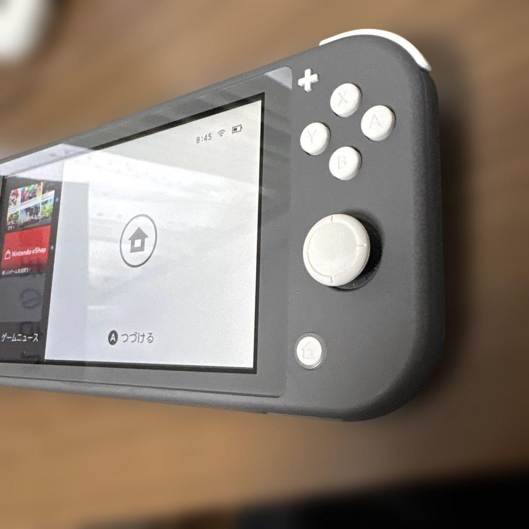 Nintendo Switch Light ニンテンドースイッチ　ライト　グレー