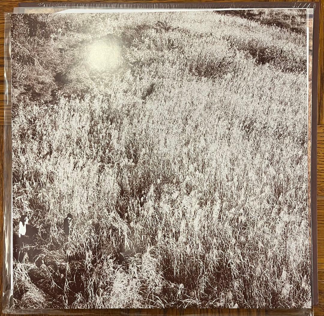 Laura day romance ／ roman candles LP