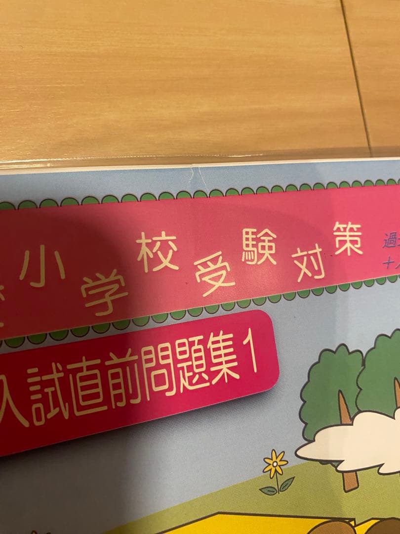 岡山大附属小学校入試問題集 1-3 DVD 受験直前対策　受験専門サクセス