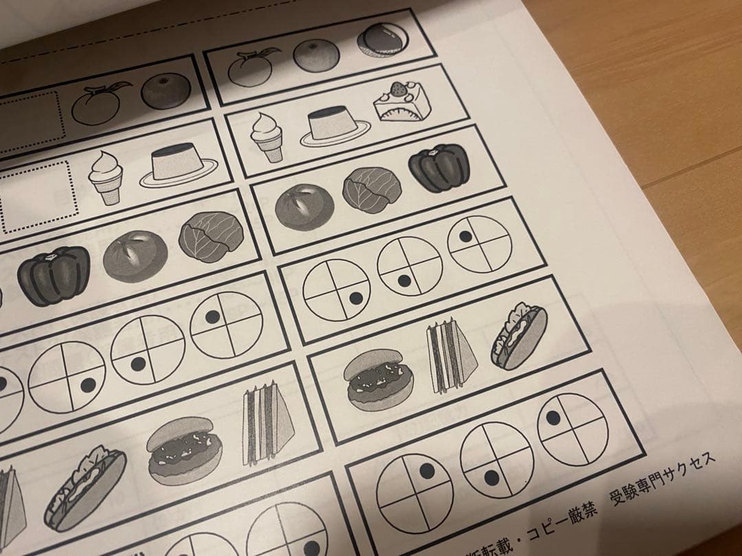 岡山大附属小学校入試問題集 1-3 DVD 受験直前対策　受験専門サクセス