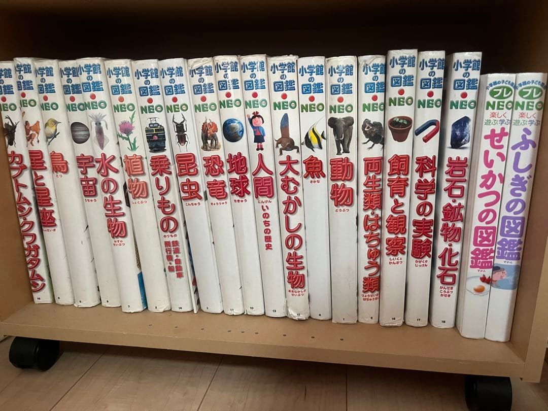 小学館　図鑑NEO まとめ売り　20冊
