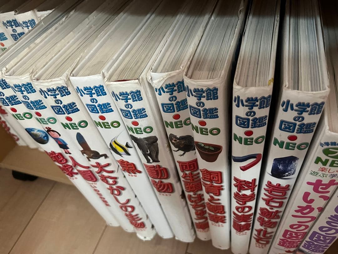 小学館　図鑑NEO まとめ売り　20冊