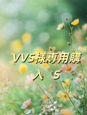 VVS購入 S