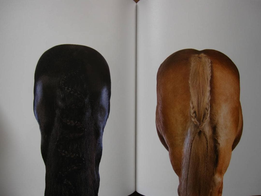 アート・デザイン・音楽 Style & the Family Tunes : The Book