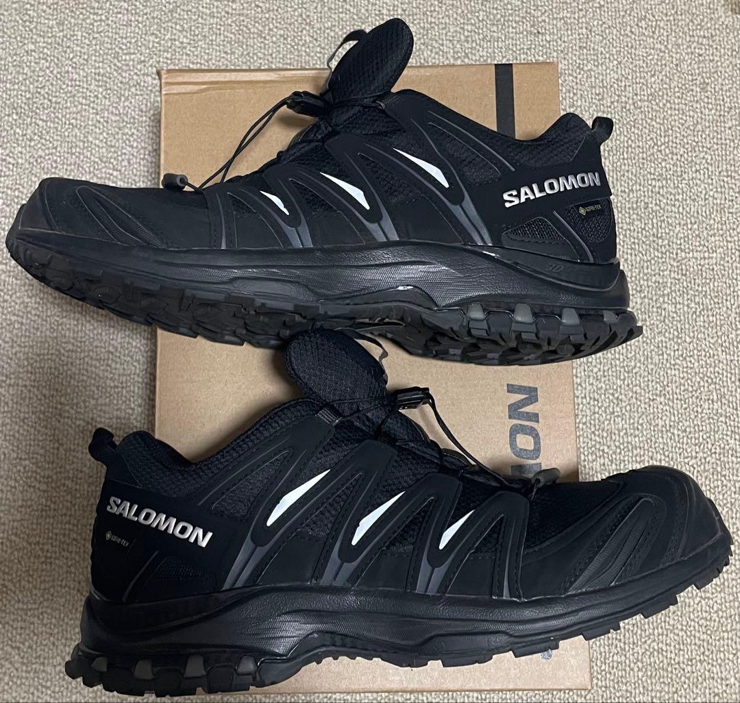 靴 SALOMON XA PRO 3D GORE-TEX