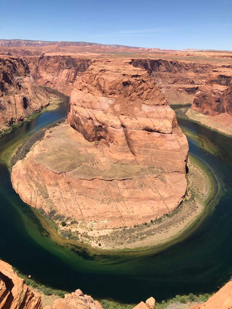 Sexisushi　シャネル　グローブ　新品未使用品　Mサイズ