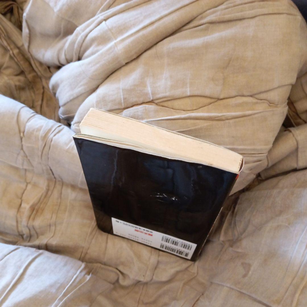 【絶版初版本】THEE MICHELLE GUN ELEPHANTの真実