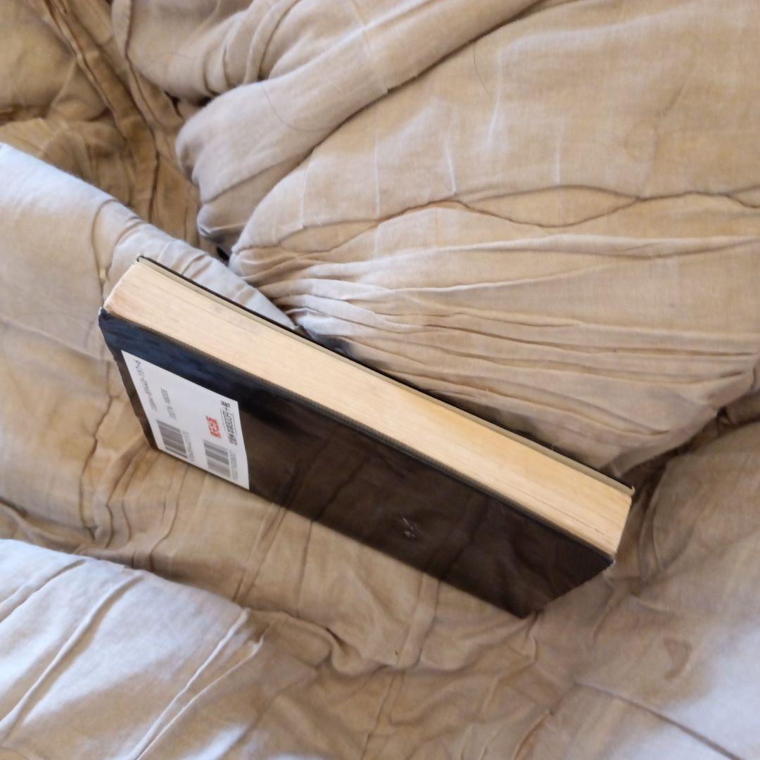 【絶版初版本】THEE MICHELLE GUN ELEPHANTの真実