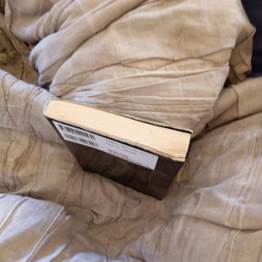 【絶版初版本】THEE MICHELLE GUN ELEPHANTの真実