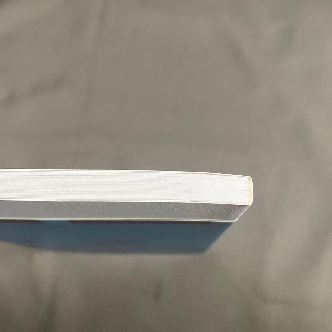 ヴォルフガング・ティルマンス インタビュー Text Series 2