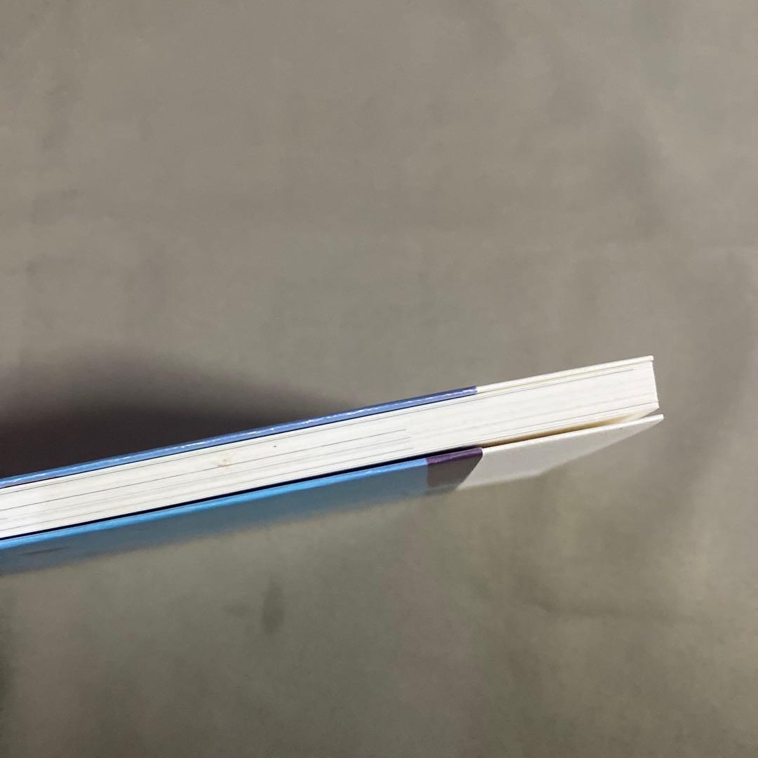 ヴォルフガング・ティルマンス インタビュー Text Series 2