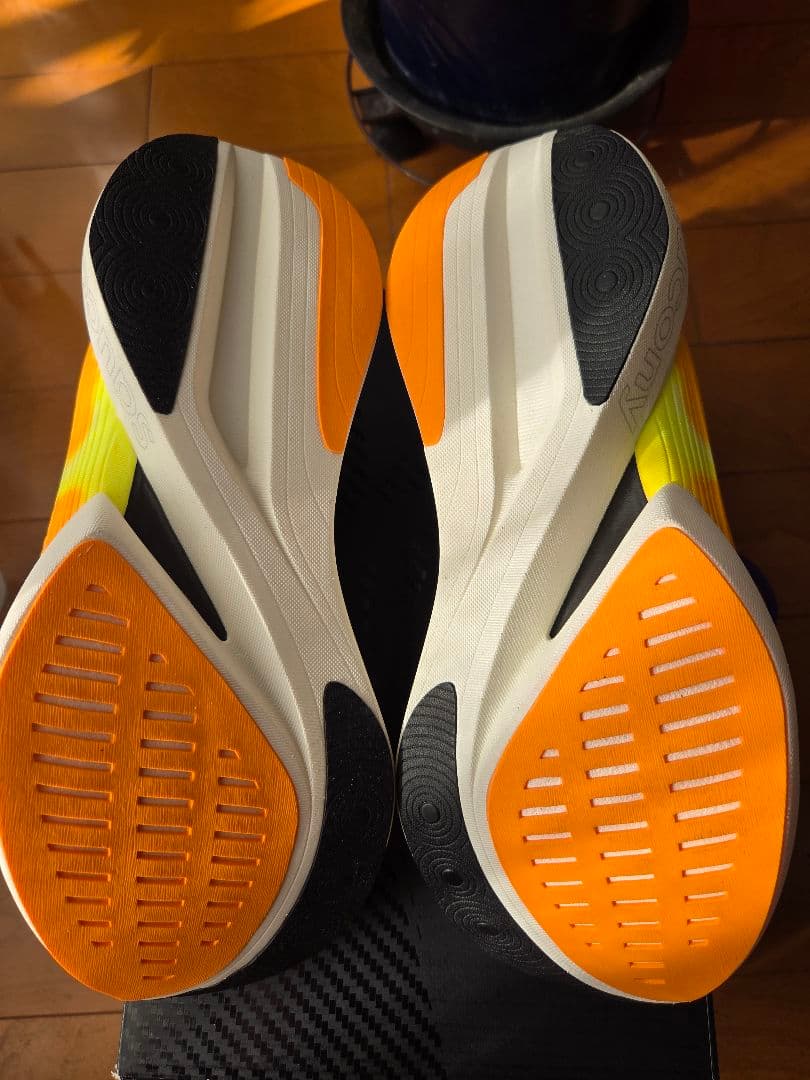 エンドルフィンエリート2：ENDORPHIN ELITE 2（28.0cm )