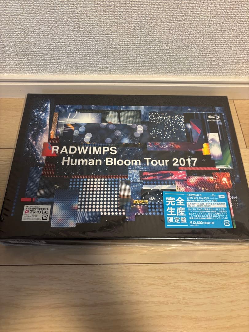 RADWIMPS CD DVD ファングッズ