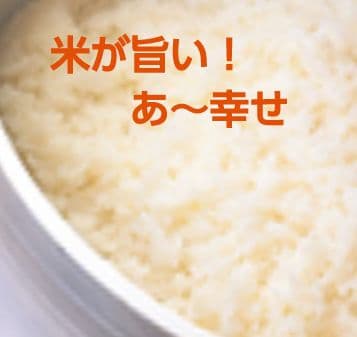 【飯が旨い！】ユニフレーム キャンプ羽釜 3合炊き