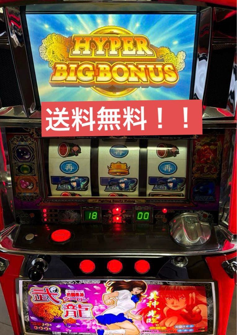 【送料込み！すぐに遊べる！】格闘美神武龍　実機　パチスロ