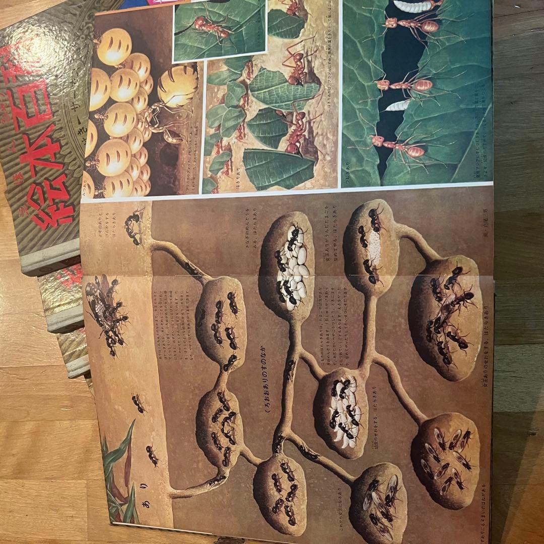 絵本百科　全5巻　レトロ　ケースなし