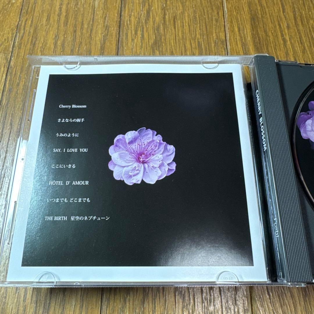 ToshI CHERRY BLOSSOM 邦楽 CD