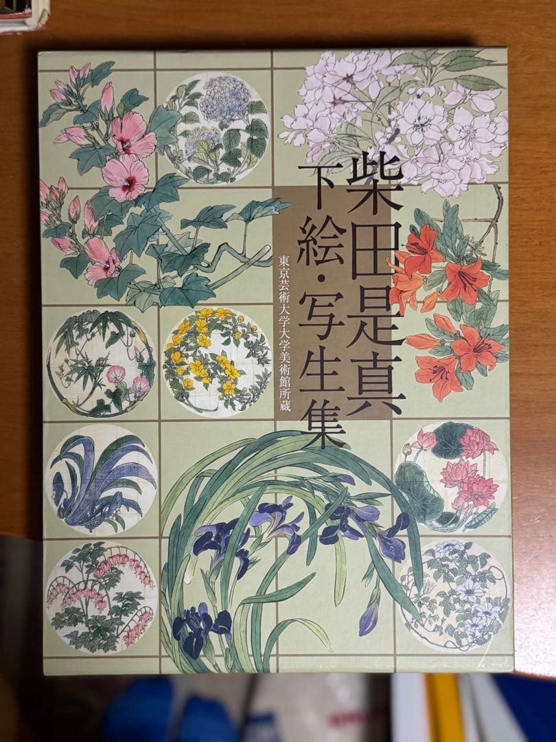 柴田是真 下絵・写真集　中古