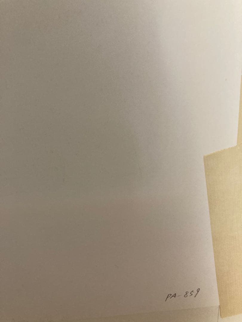 t*7様 色彩の魔術師　シャガールの名作　愛しのベラ　シャガールの絵