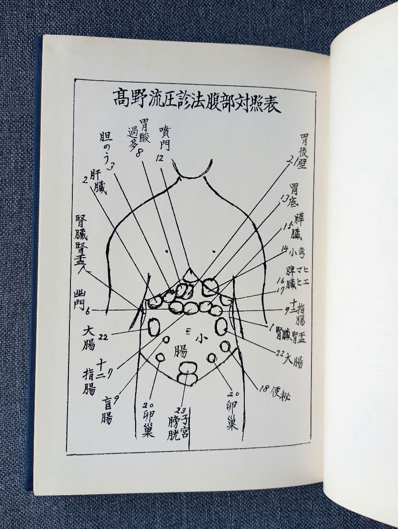 高野流圧診療法秘伝書　高野豊行　非売品