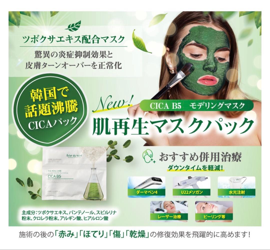 CICA B5 モデリングマスク　シカパック　6枚