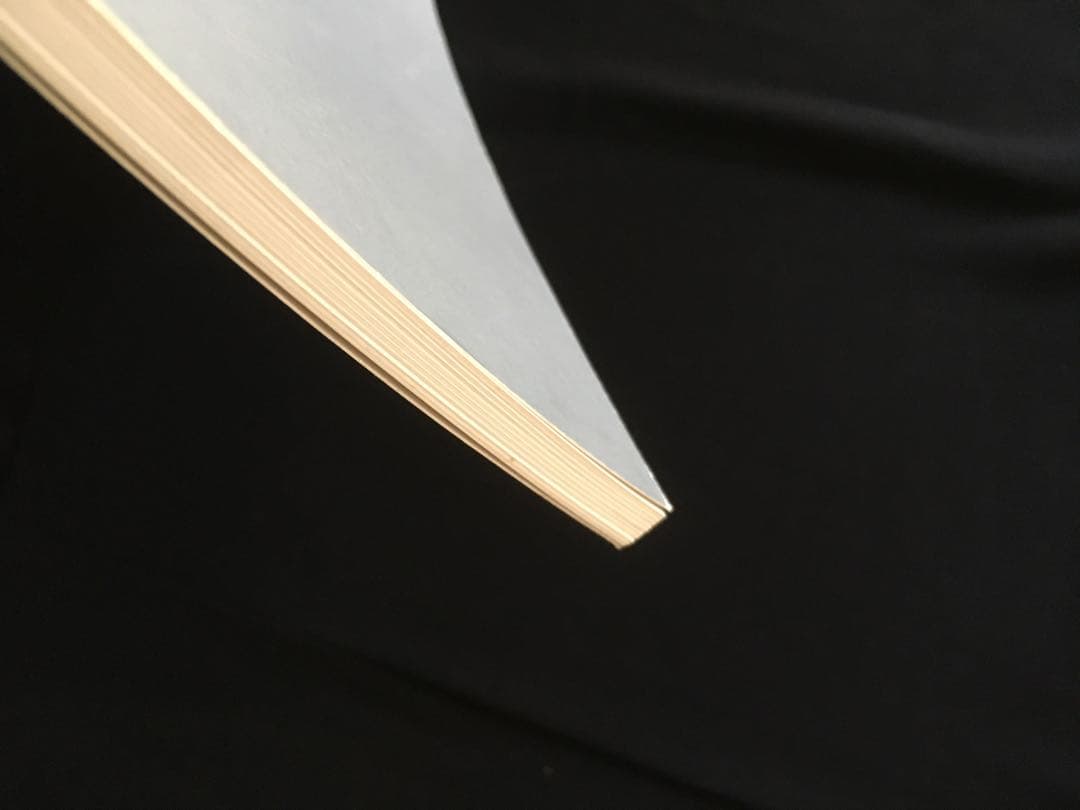 Nan Goldin LOVE STREAMS ナンゴールデン