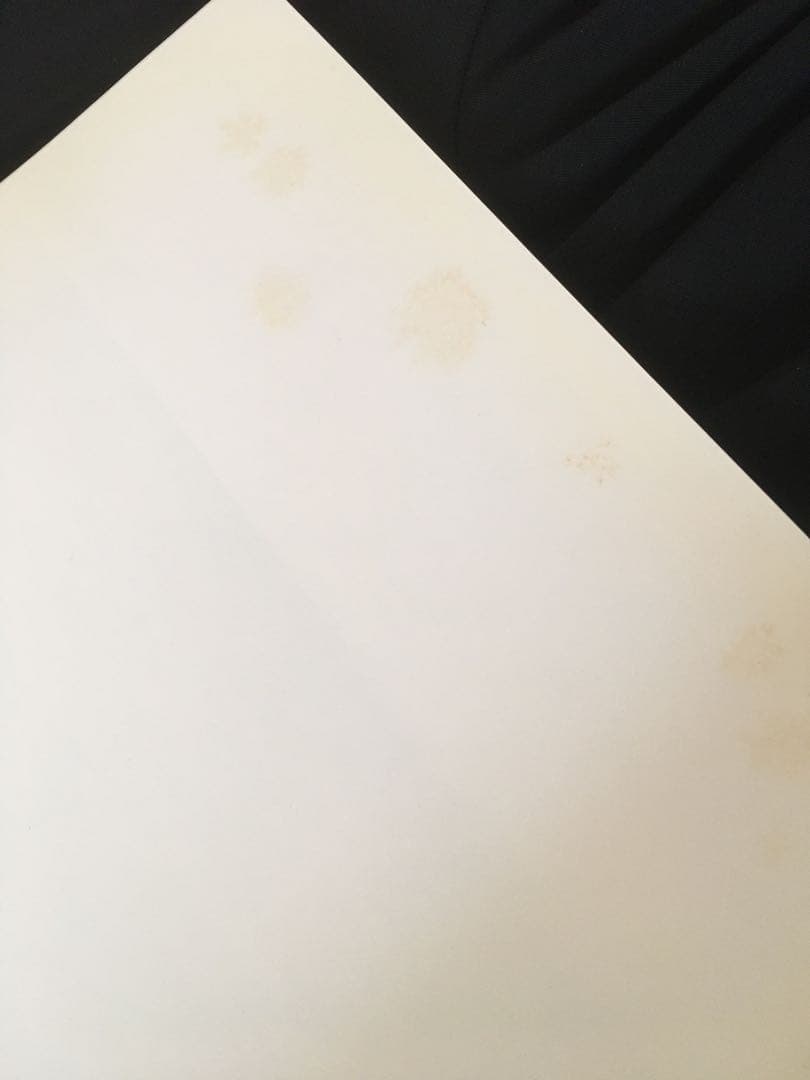 Nan Goldin LOVE STREAMS ナンゴールデン