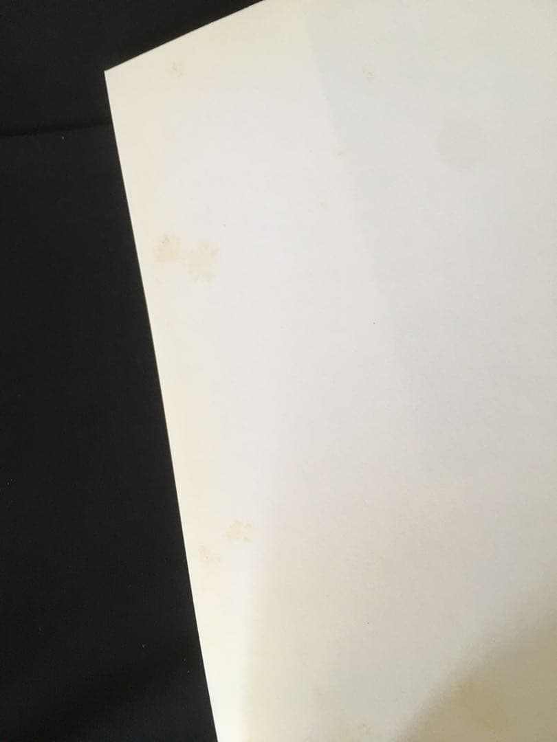 Nan Goldin LOVE STREAMS ナンゴールデン