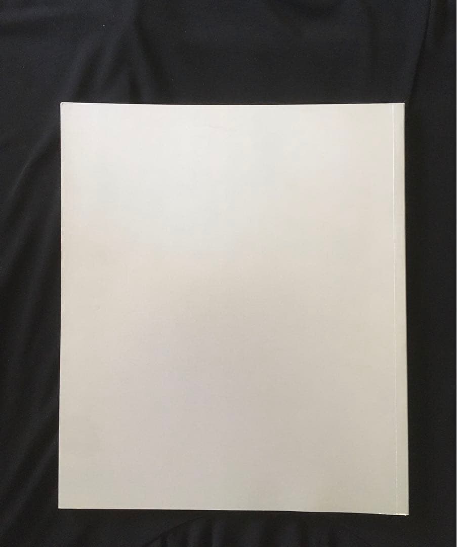 Nan Goldin LOVE STREAMS ナンゴールデン