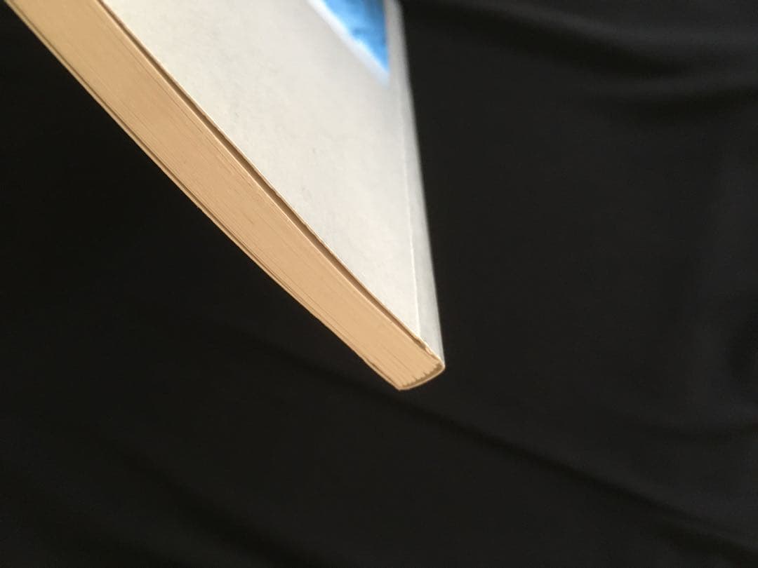 Nan Goldin LOVE STREAMS ナンゴールデン