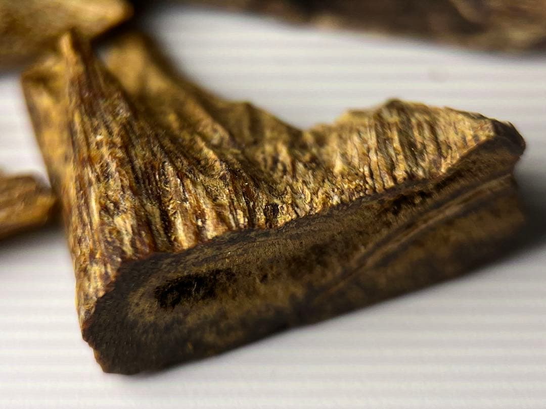 お香 天然沈香 六国五味聞香用 伽羅 香木 3ーSー10.524