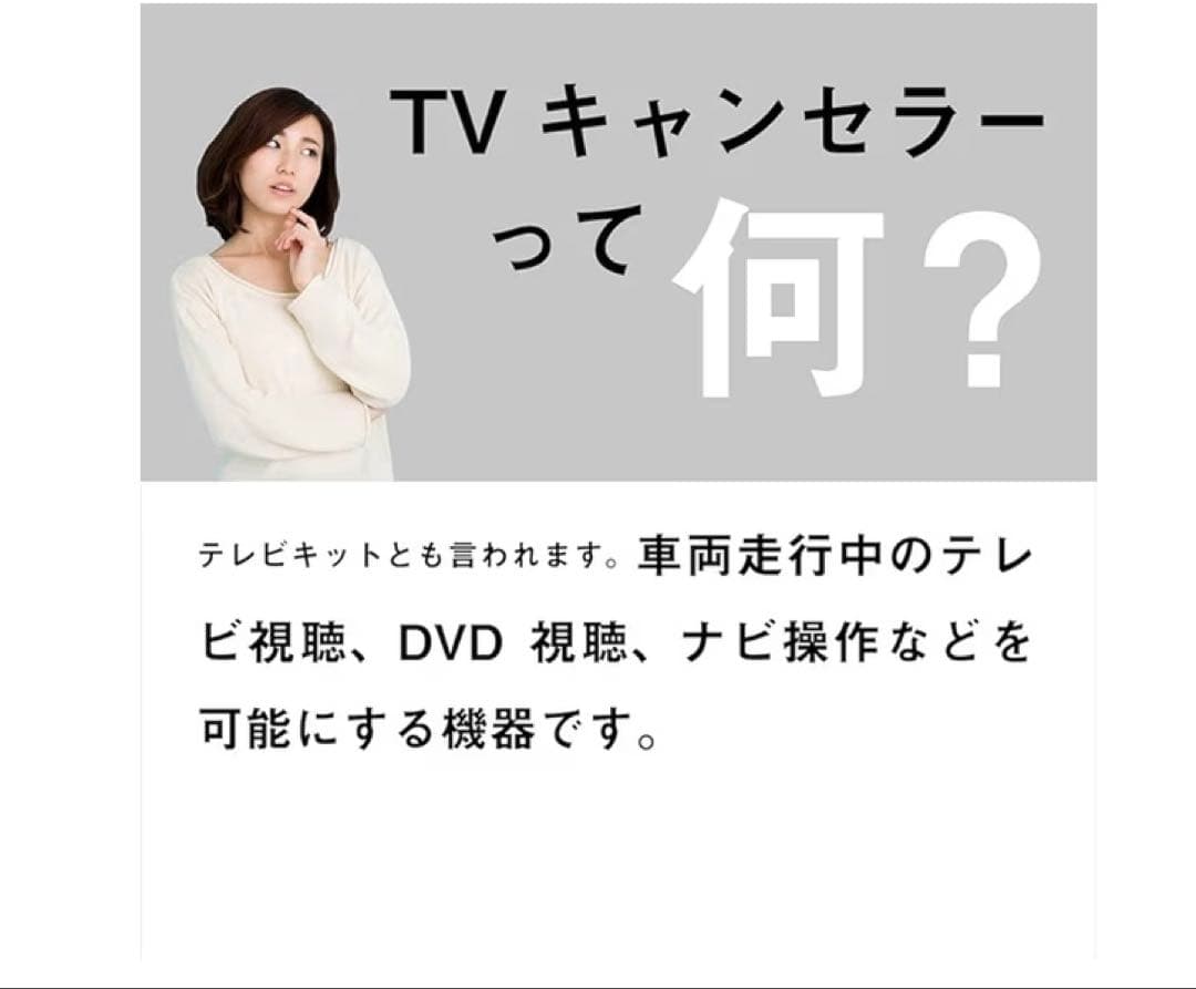 E2PLUG Type03 車載テレビキャンセラー新品、未使用